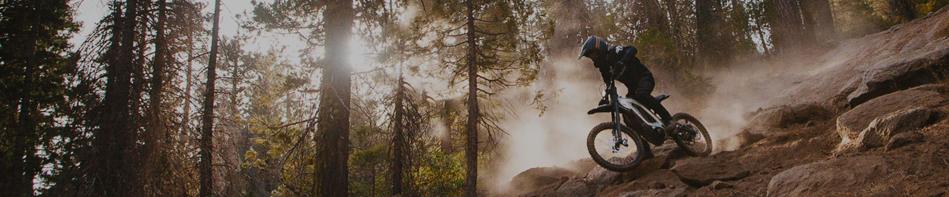 Bicicleta eléctrica todoterreno